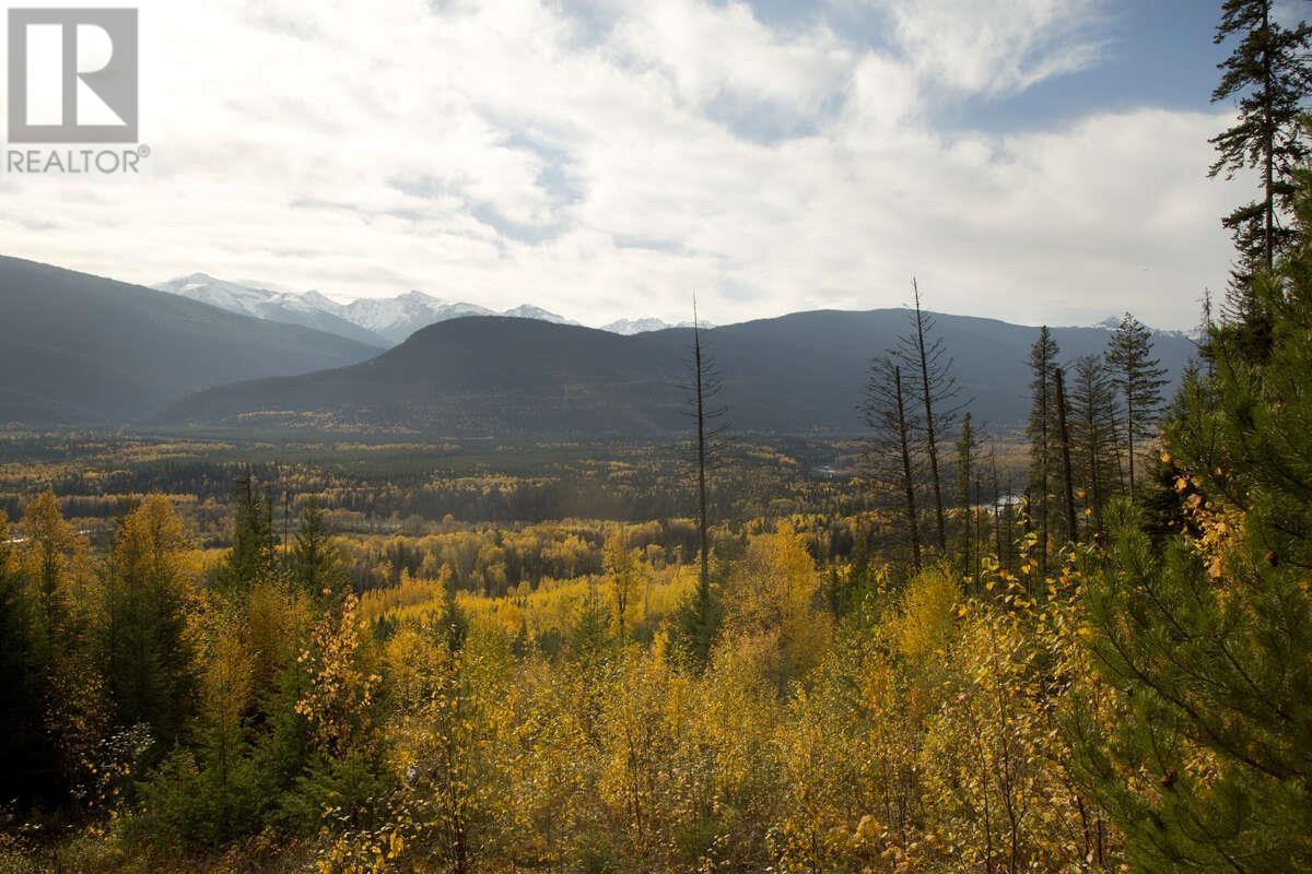 DL 6034 E 16 HIGHWAY, Valemount