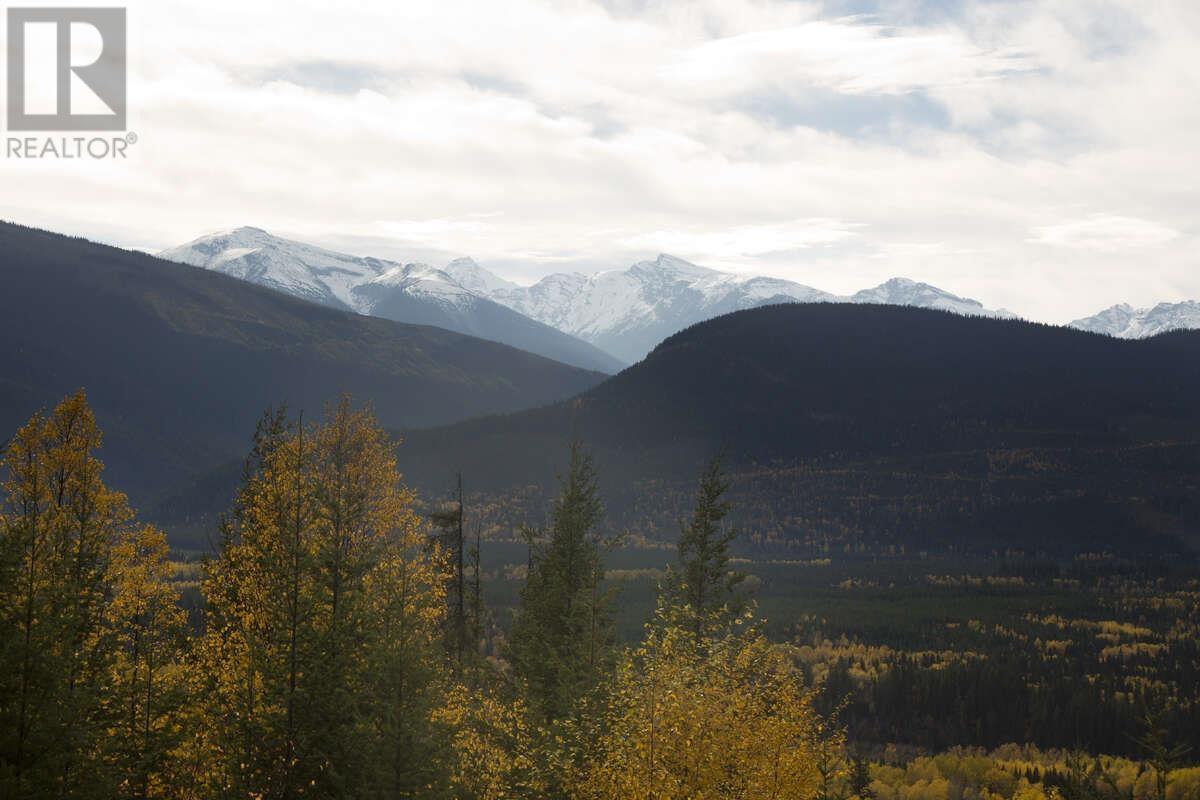 DL 6034 E 16 HIGHWAY, Valemount