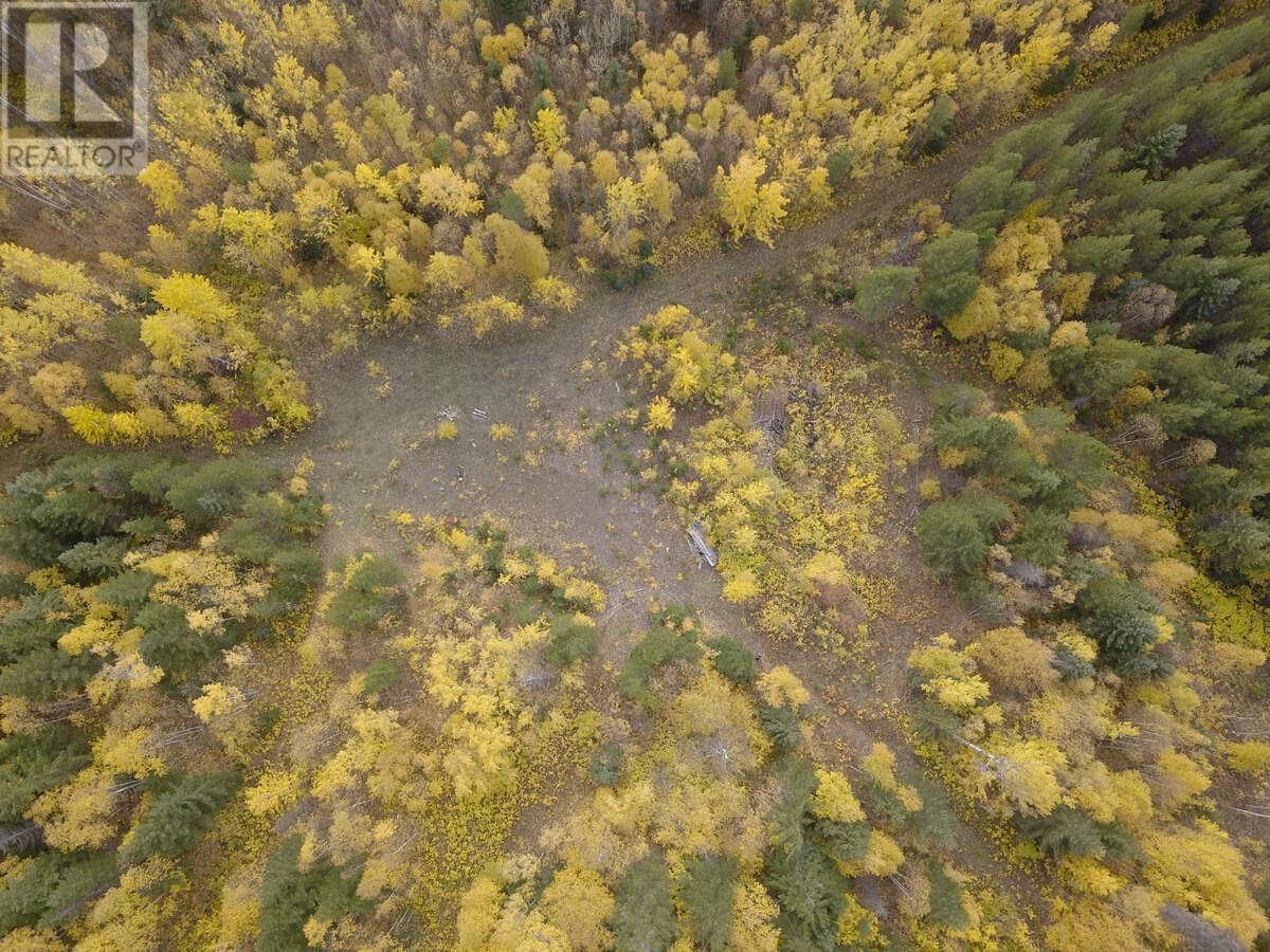 DL 6034 E 16 HIGHWAY, Valemount