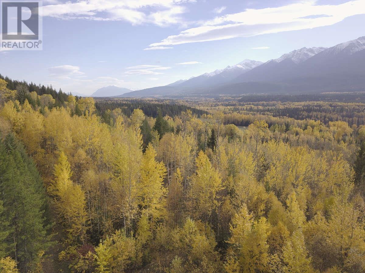 DL 6034 E 16 HIGHWAY, Valemount