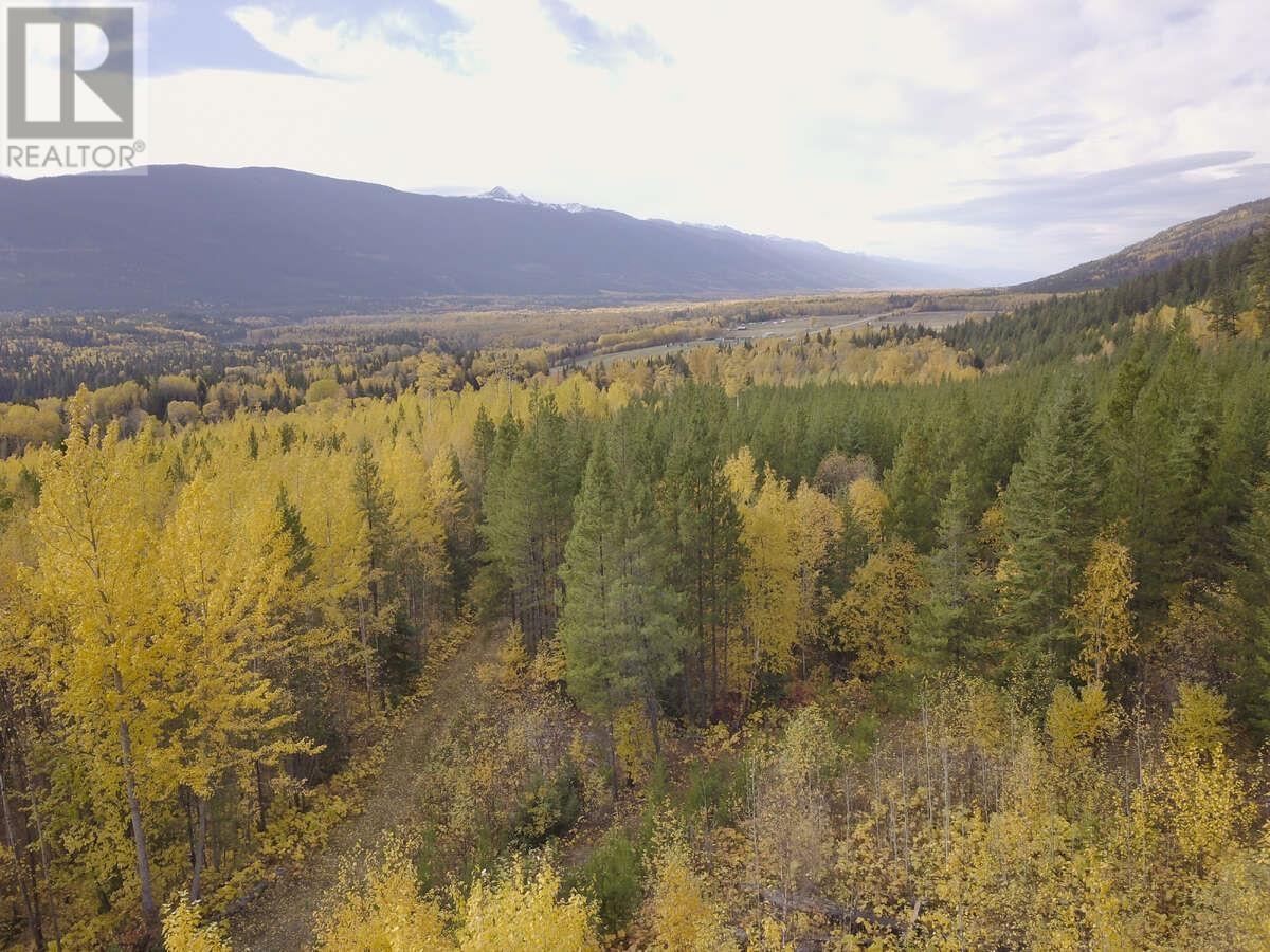 DL 6034 E 16 HIGHWAY, Valemount