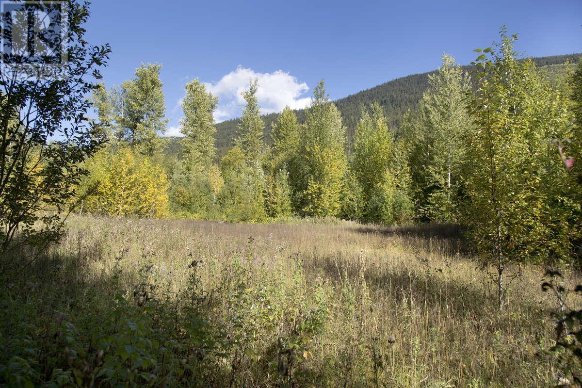 DL 6034 E 16 HIGHWAY, Valemount