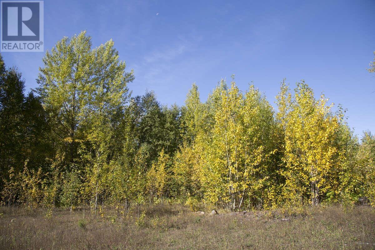 DL 6034 E 16 HIGHWAY, Valemount