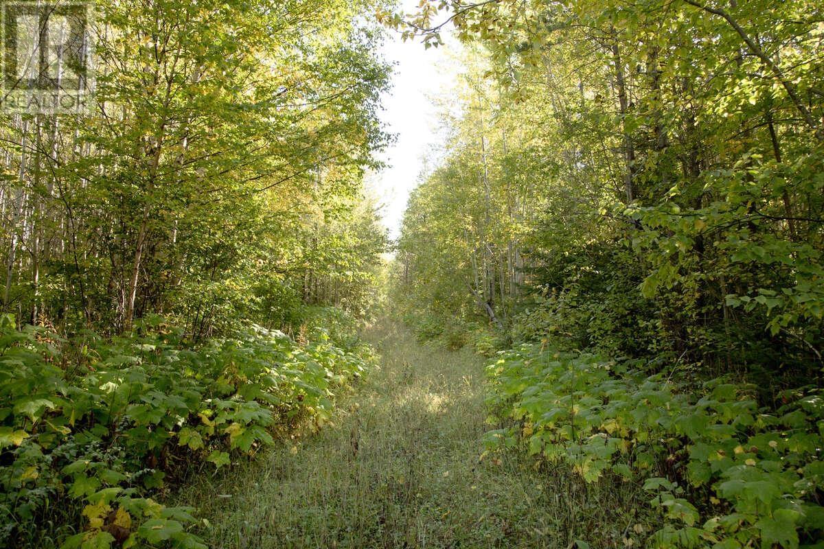 DL 6034 E 16 HIGHWAY, Valemount