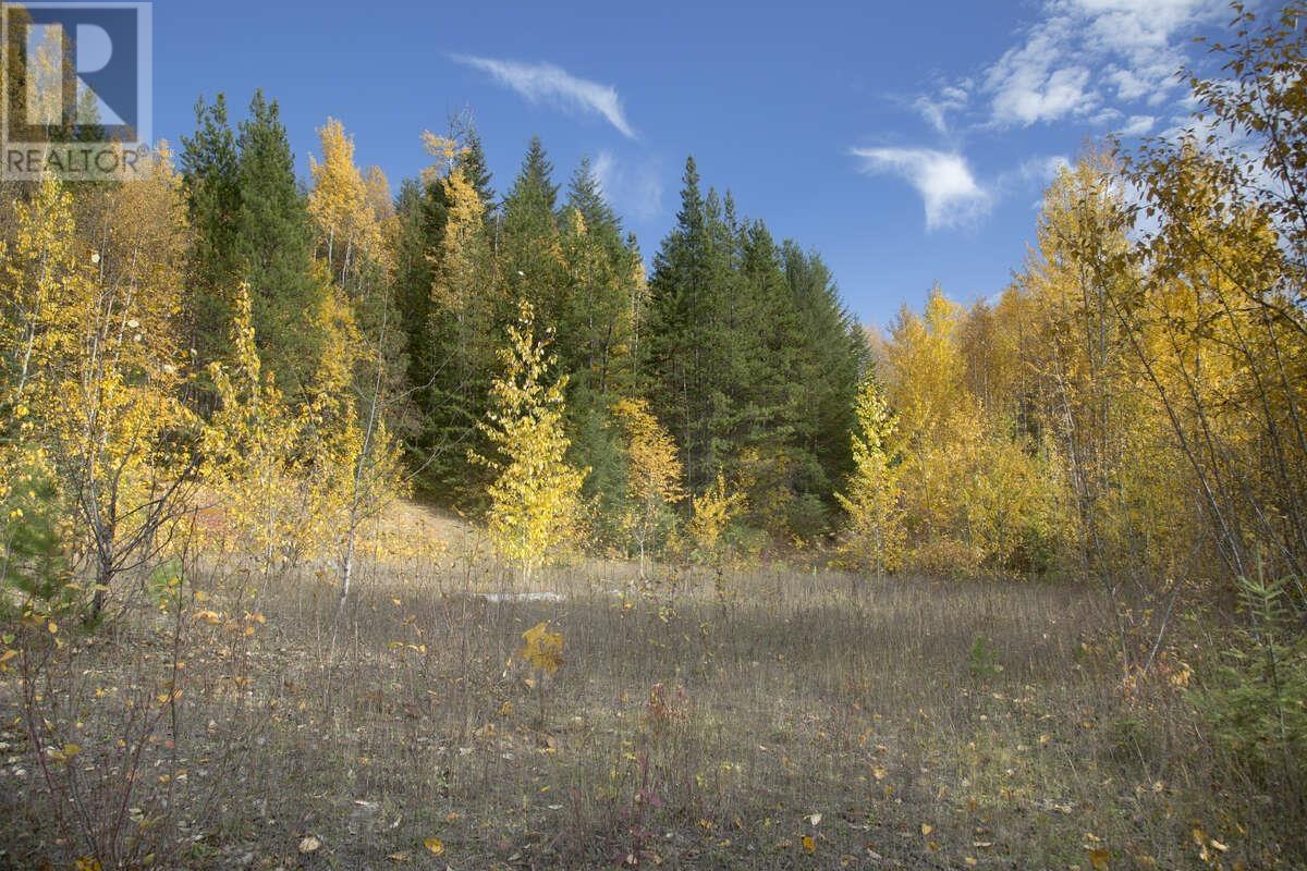 DL 6034 E 16 HIGHWAY, Valemount