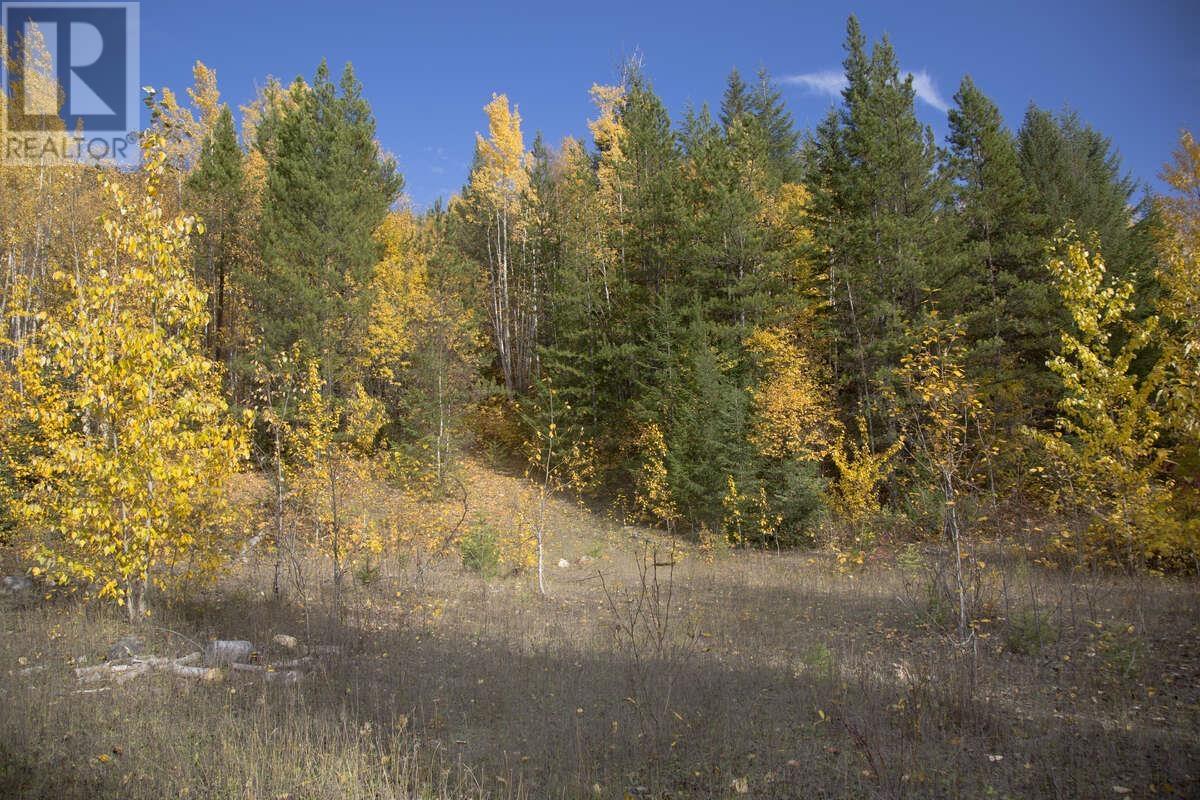 DL 6034 E 16 HIGHWAY, Valemount