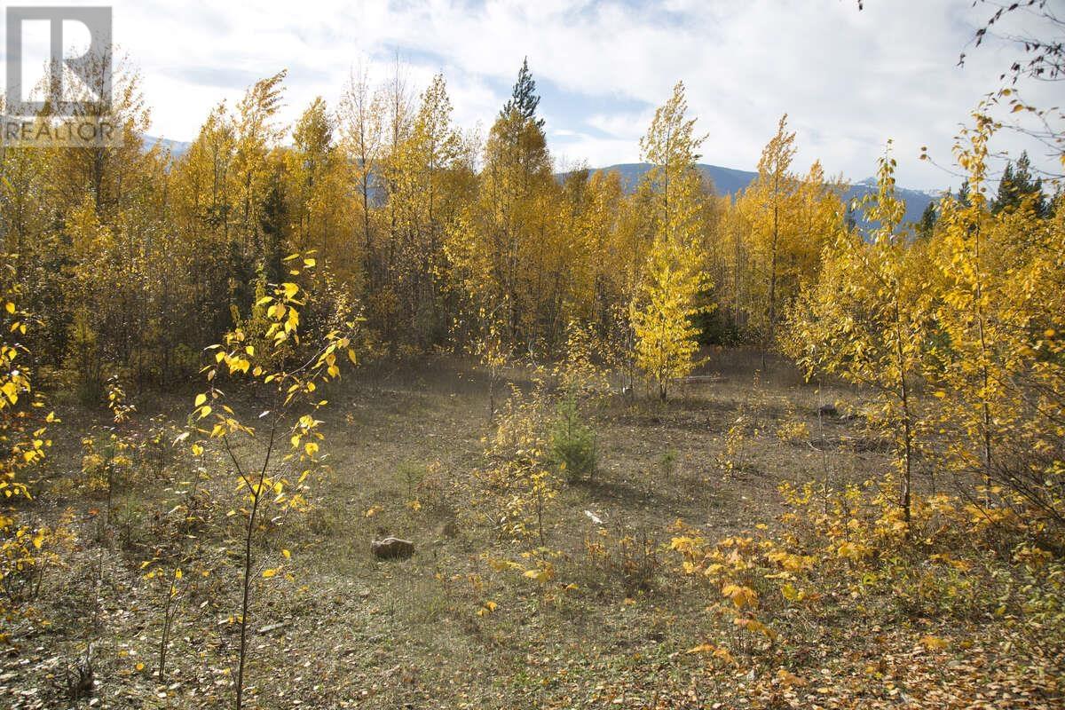 DL 6034 E 16 HIGHWAY, Valemount