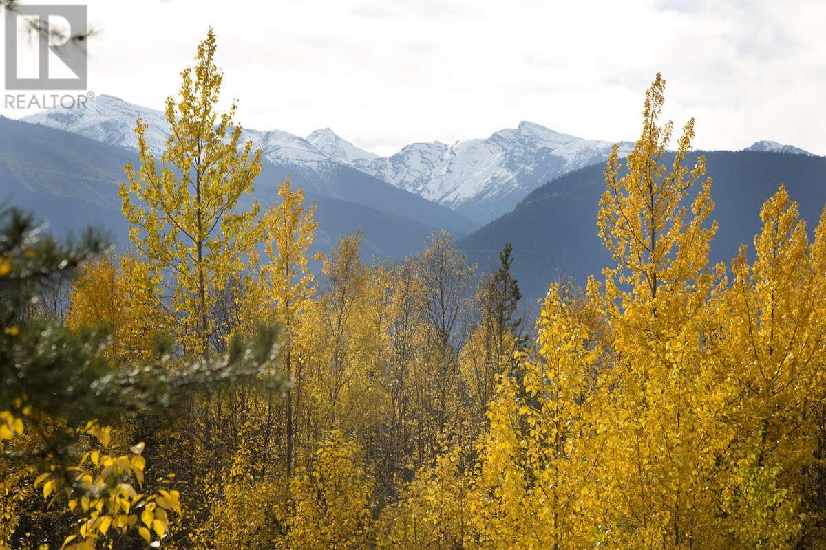 DL 6034 E 16 HIGHWAY, Valemount