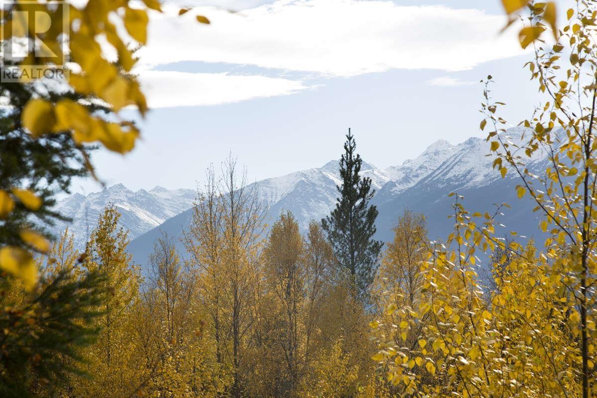 DL 6034 E 16 HIGHWAY, Valemount