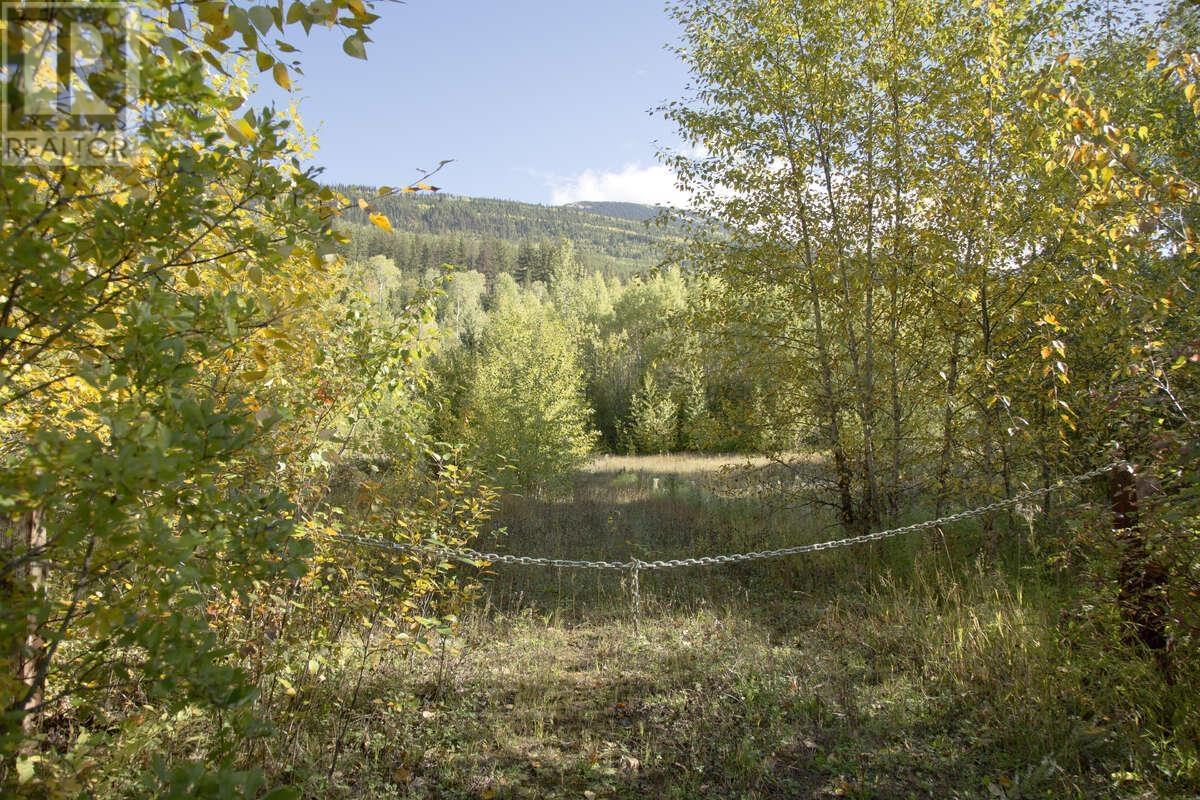 DL 6034 E 16 HIGHWAY, Valemount