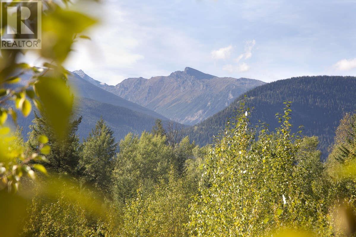 DL 6034 E 16 HIGHWAY, Valemount