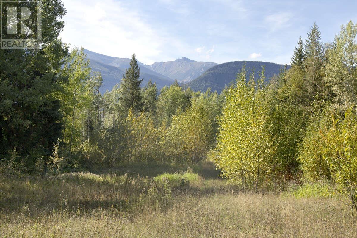 DL 6034 E 16 HIGHWAY, Valemount