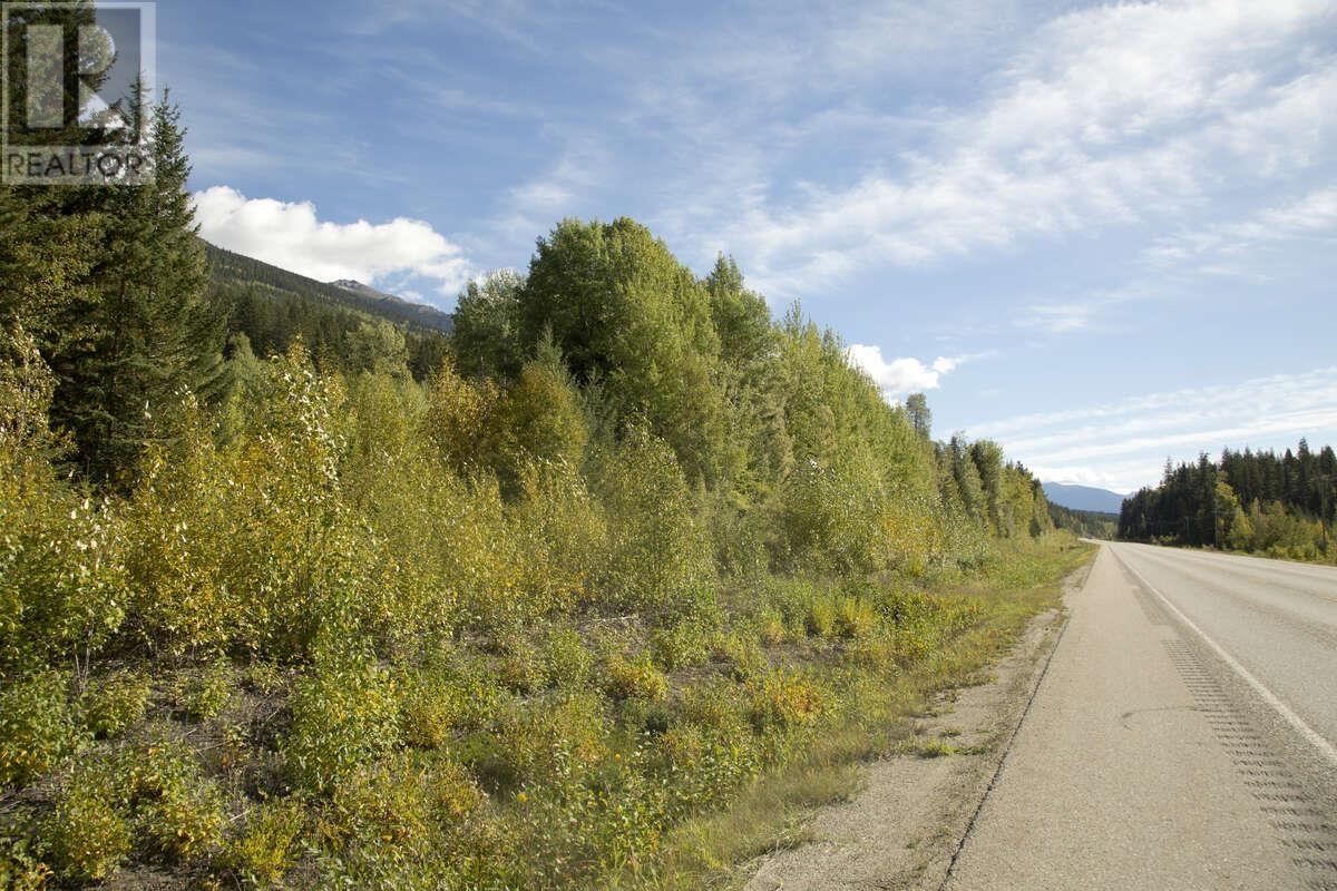 DL 6034 E 16 HIGHWAY, Valemount