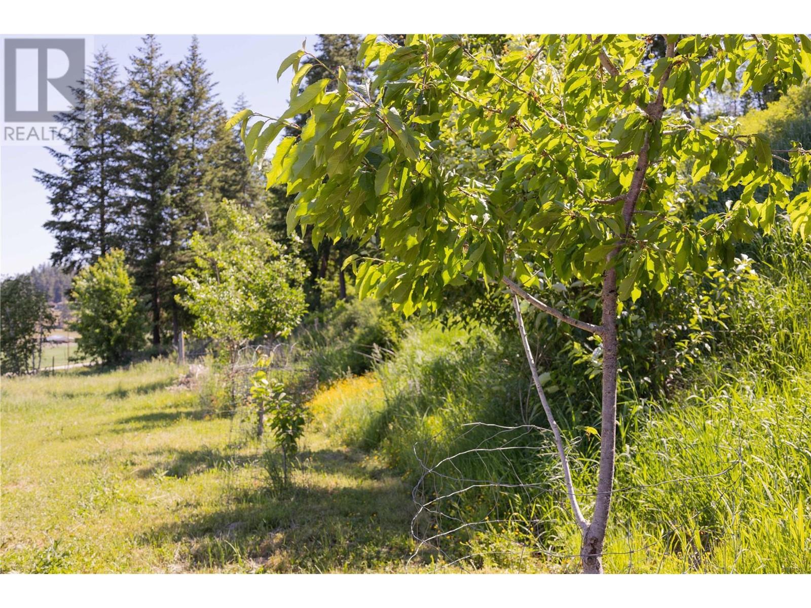 Photo 12 of 5165 Salmon River Road, Armstrong BC