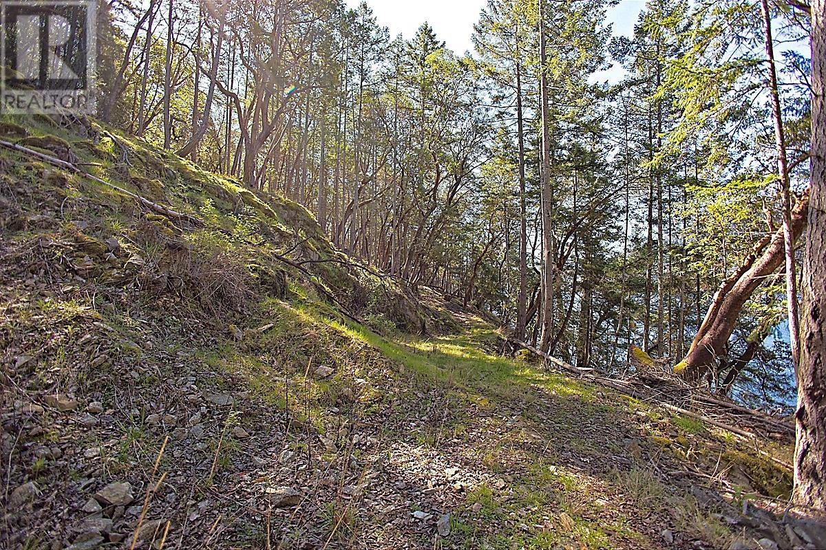 206 NARROWS WEST ROAD, Salt Spring Island