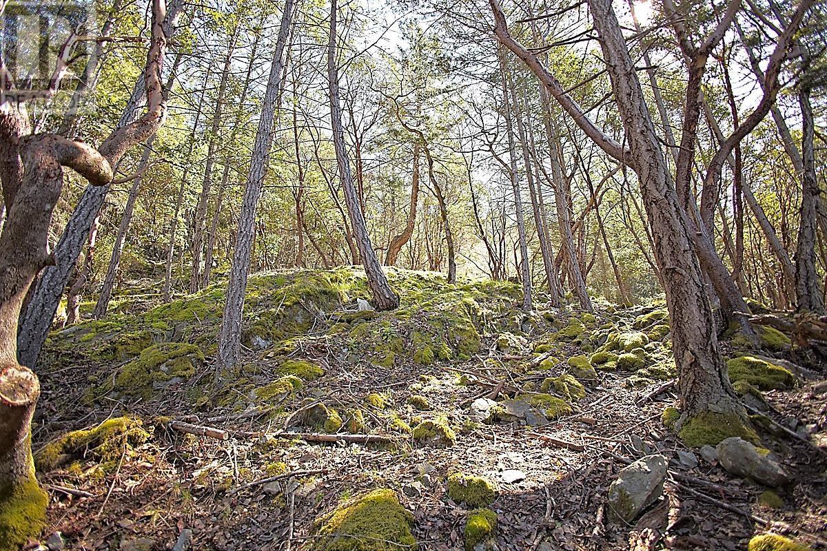206 NARROWS WEST ROAD, Salt Spring Island