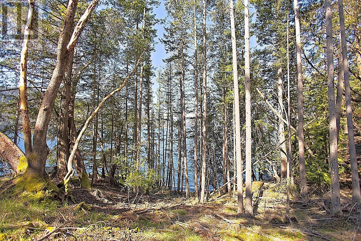 206 NARROWS WEST ROAD, Salt Spring Island