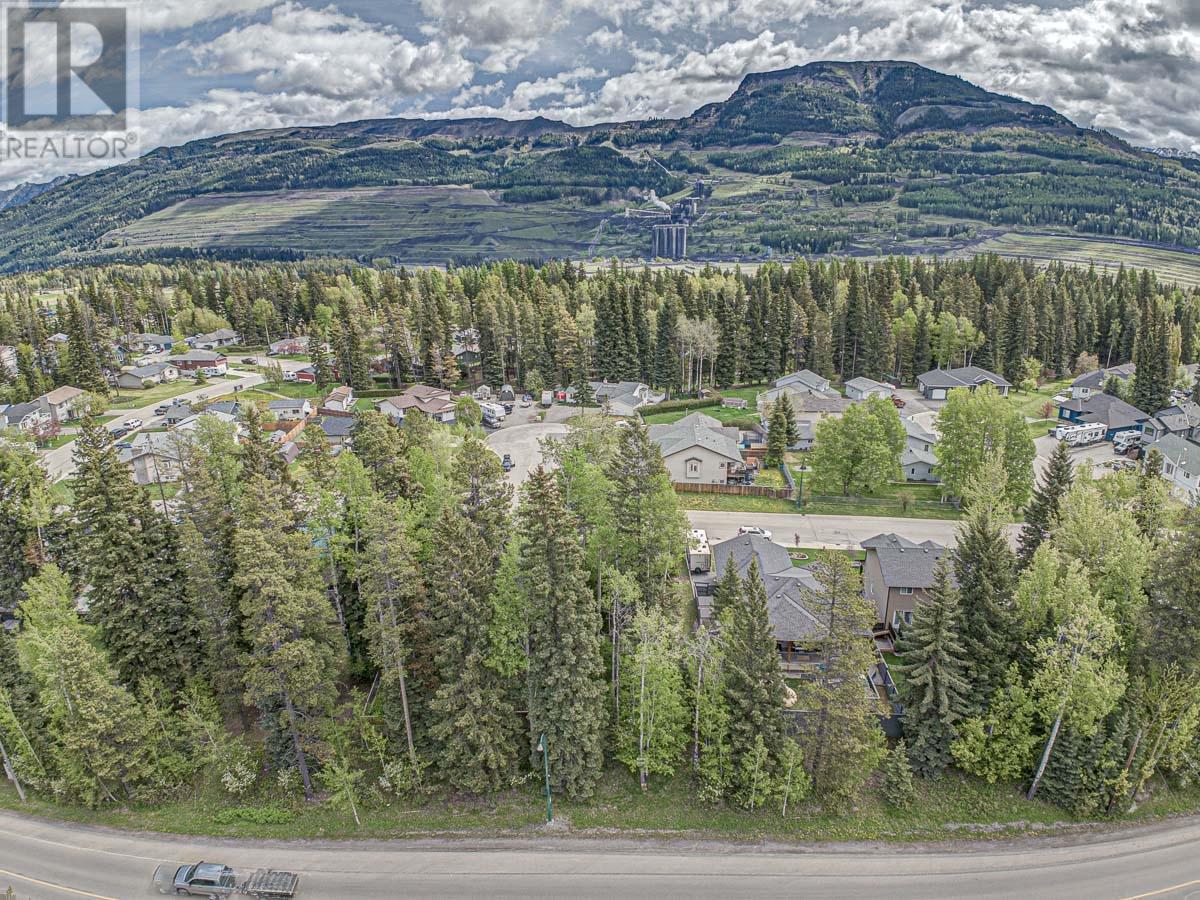 Photo 5 of 1323 Wildwood Drive, Sparwood BC