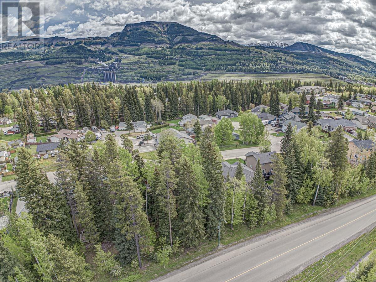 Photo 11 of 1323 Wildwood Drive, Sparwood BC