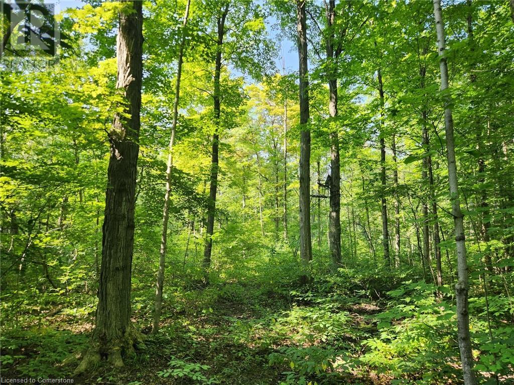 Photo 5 of Pt Lt 26 Concession 6 W, Hamilton ON