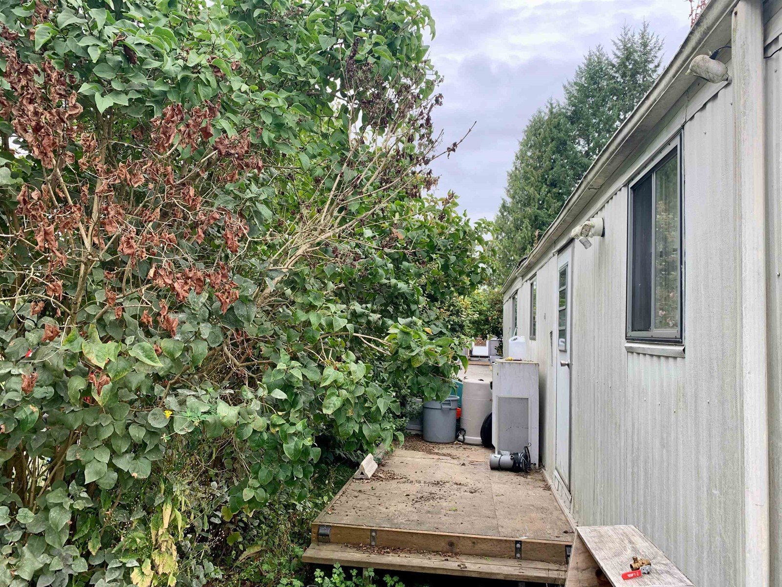 11 23387 70A AVENUE, Langley real estate listing R2917139