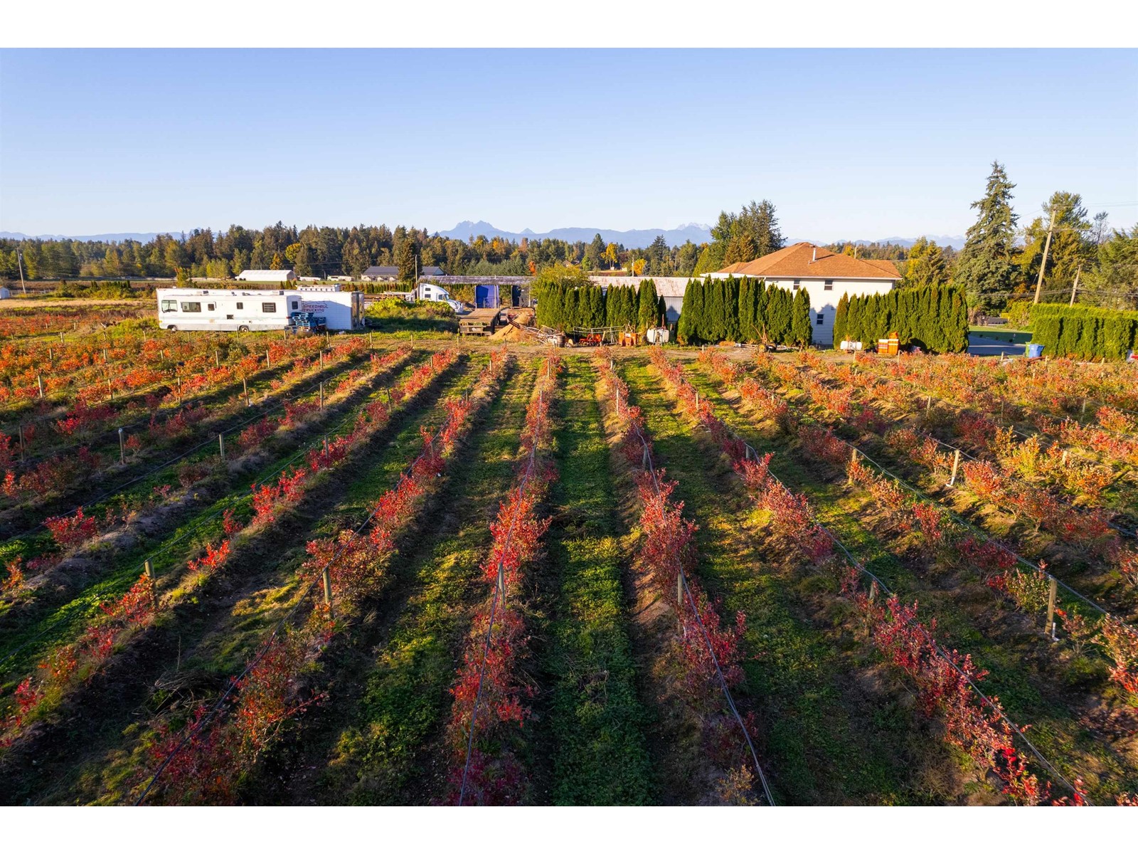 3155 BRADNER ROAD, Abbotsford real estate listing R2941042