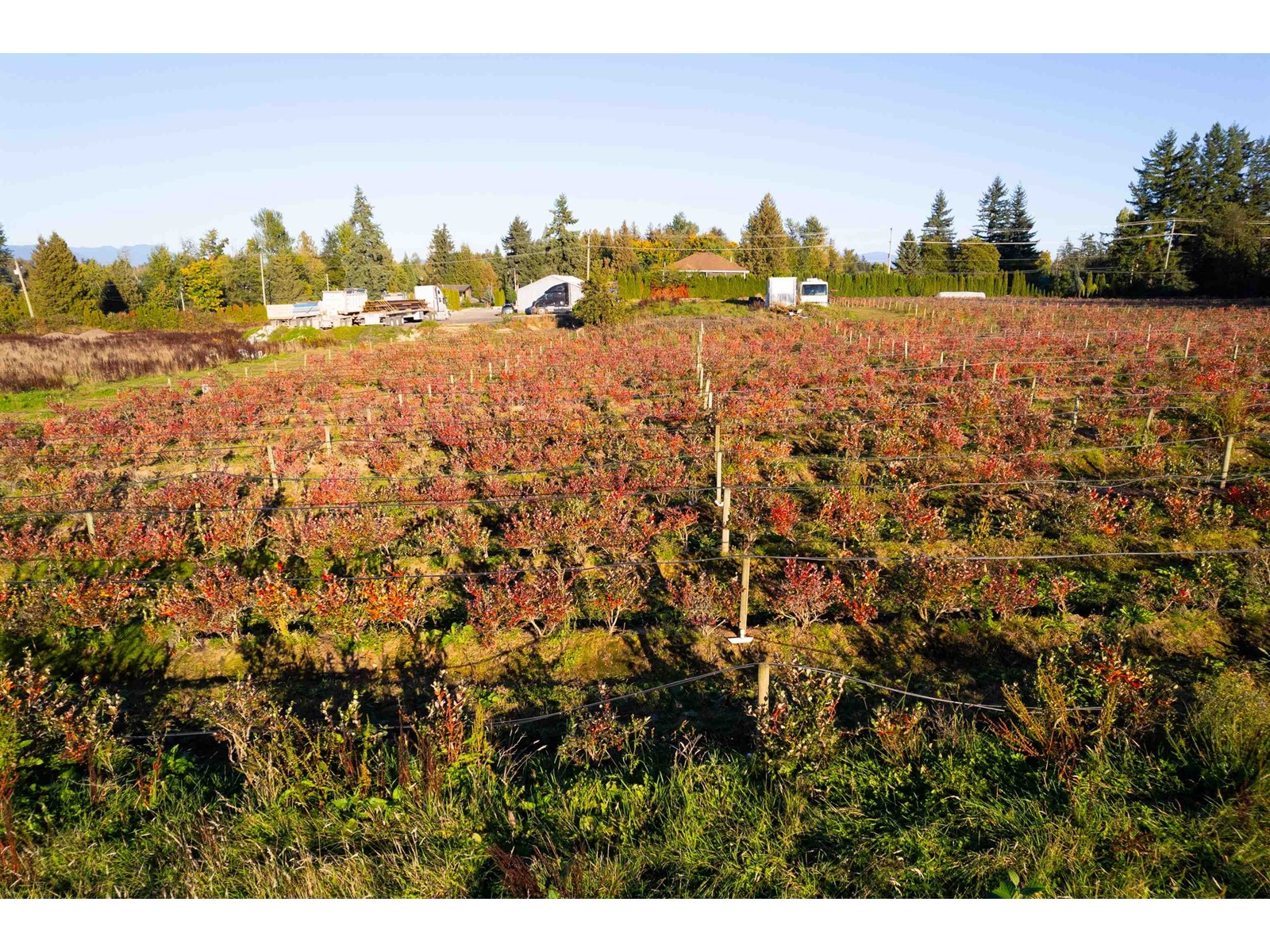3155 BRADNER ROAD, Abbotsford real estate listing R2941042