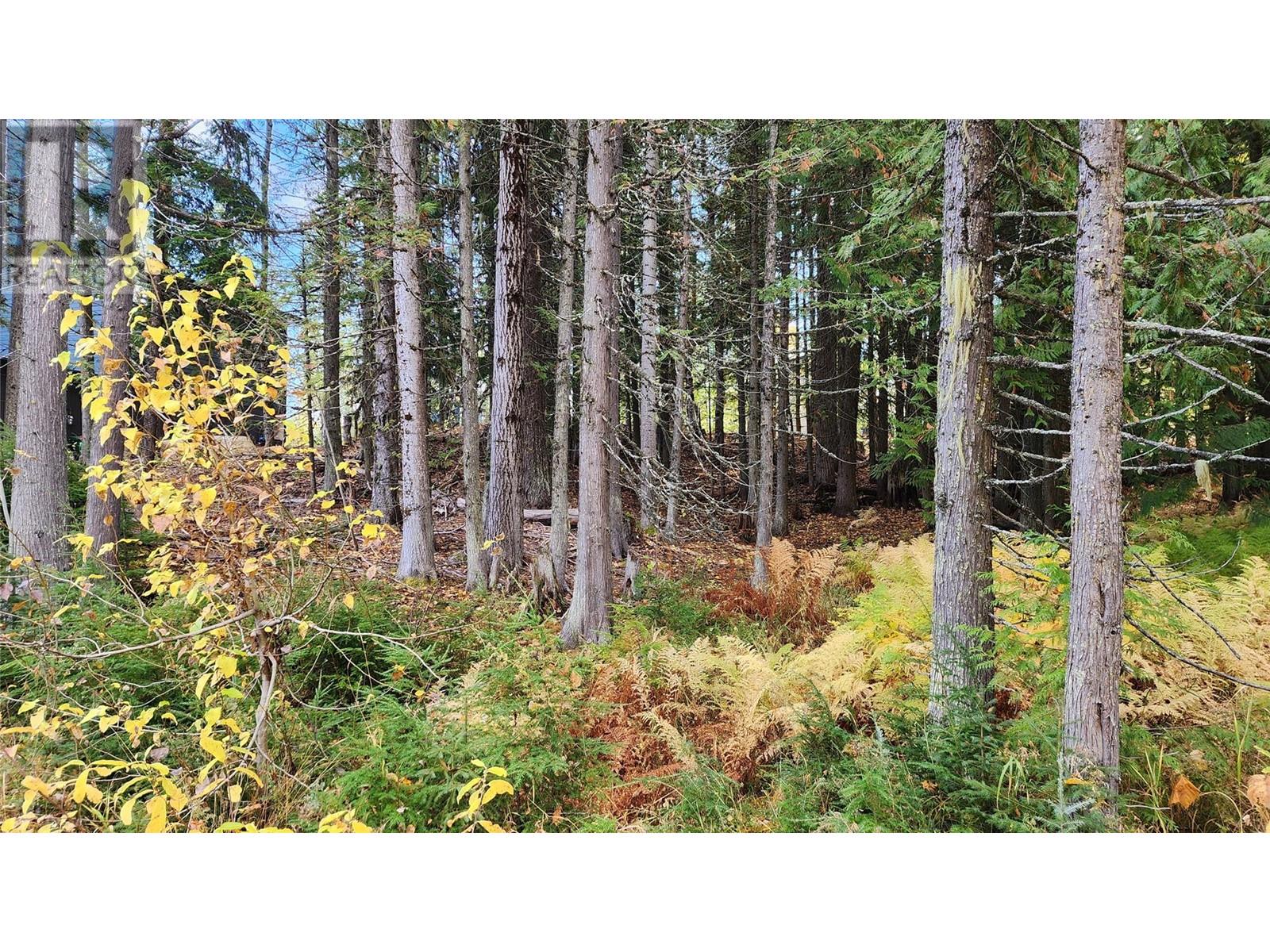 206 CEDAR CREEK Place, Rossland