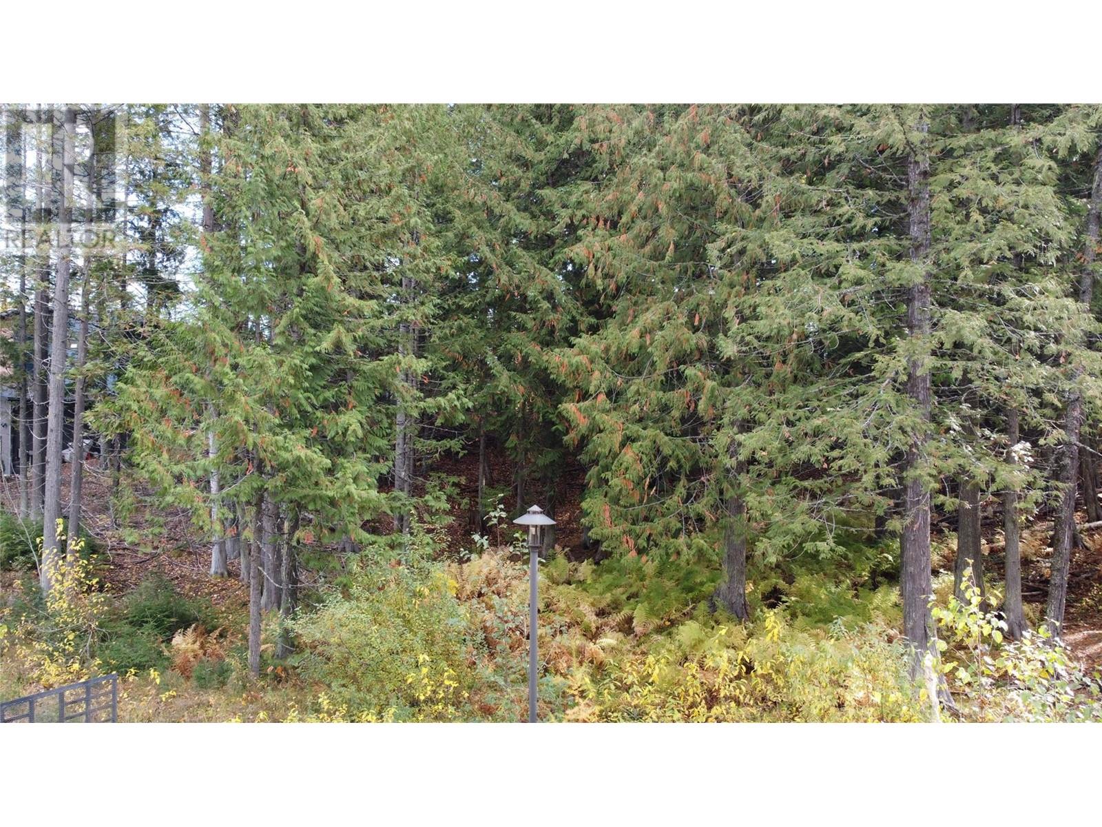 206 CEDAR CREEK Place, Rossland