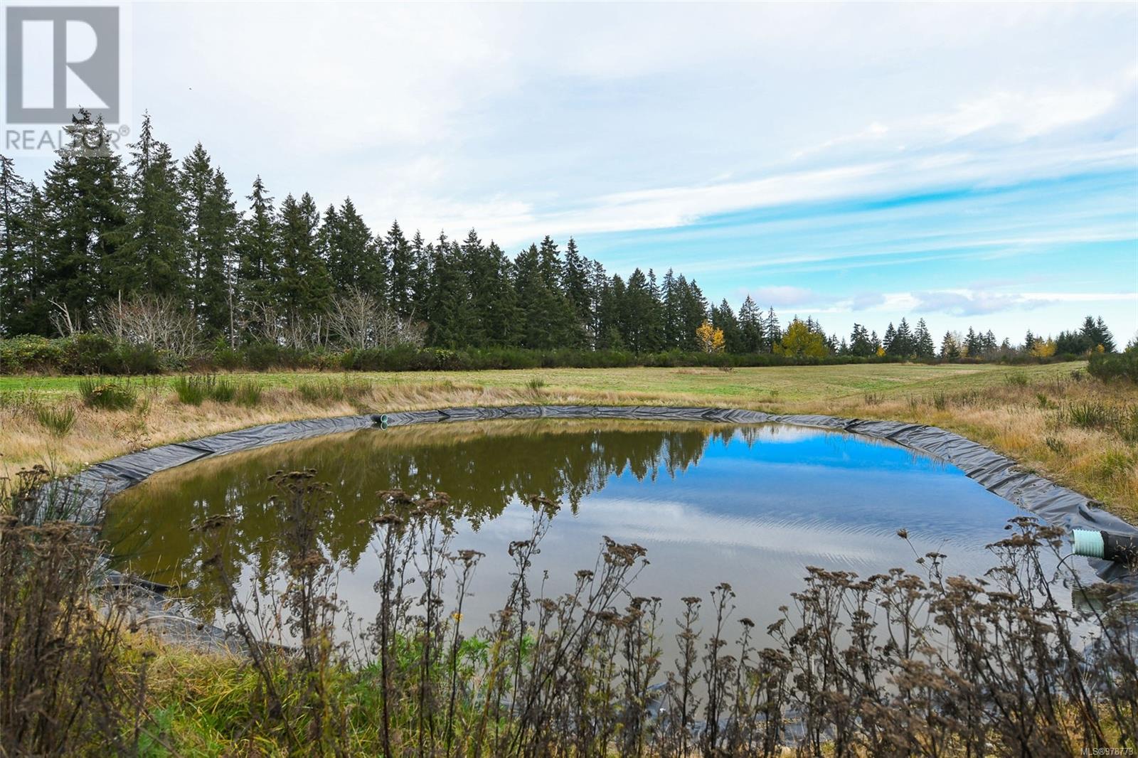 4120 Fraser Rd, Courtenay real estate listing 978773