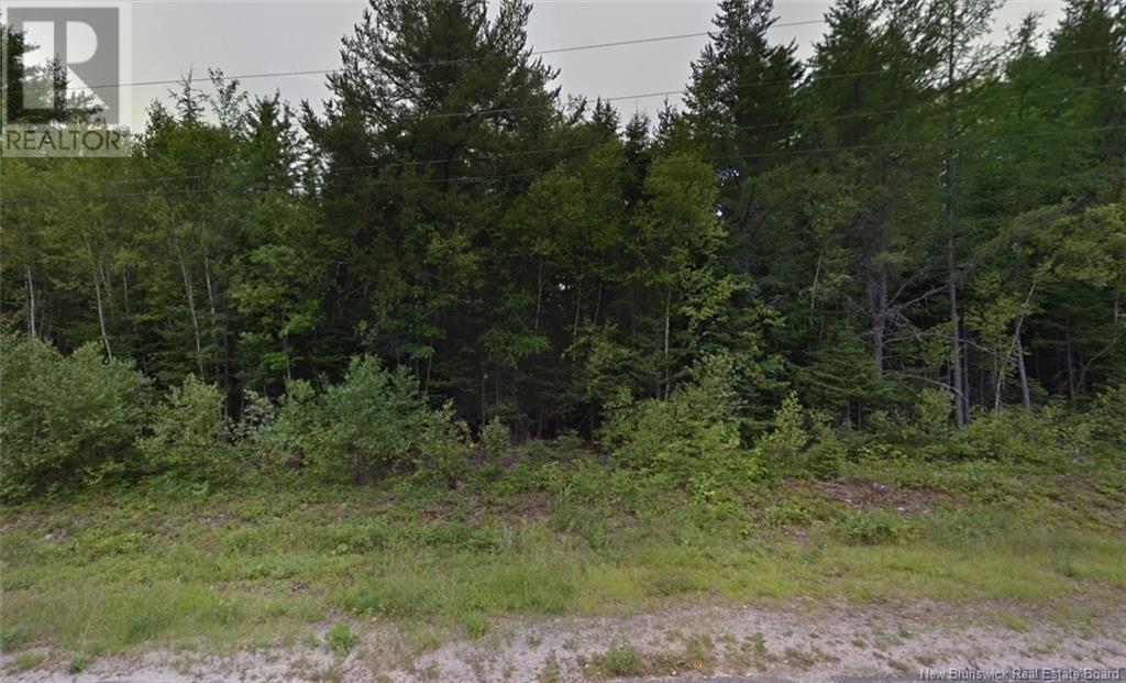 Photo 3 of 1 07 Acres Gray Street, Miramichi NB