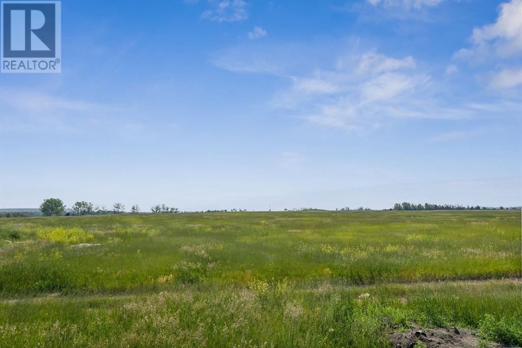 Single Family House for Sale in   Belmont Street SW Belmont Calgary 