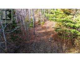 2433 Desherbiers Road, Saint Ignace, NB E4X2B9 Photo 13