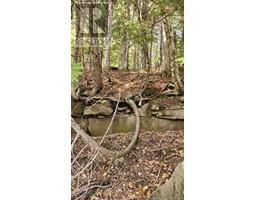 2433 Desherbiers Road, Saint Ignace, NB E4X2B9 Photo 17