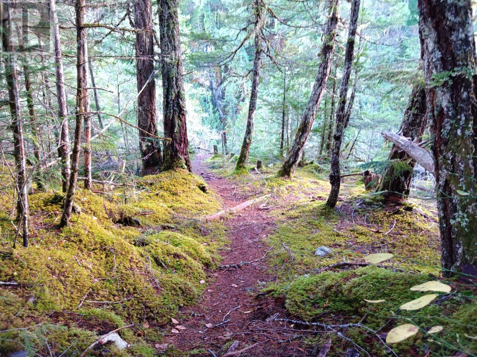 DL 126 MACKENZIE 20 HIGHWAY, Bella Coola
