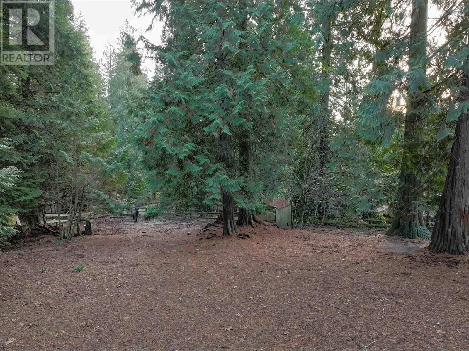 14042 232 STREET, Maple Ridge real estate listing R2943419