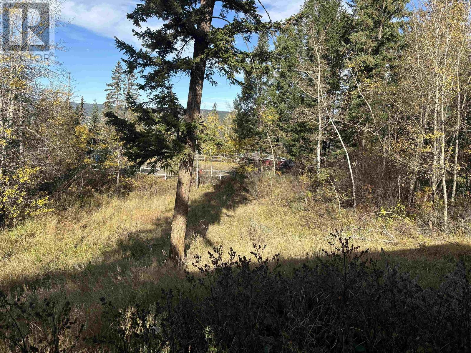 406 RICHARD STREET, Williams Lake