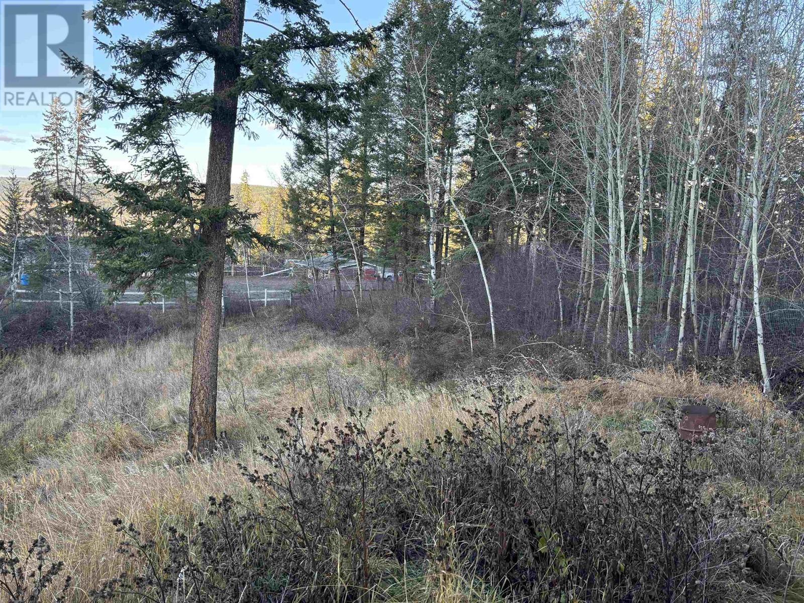406 RICHARD STREET, Williams Lake