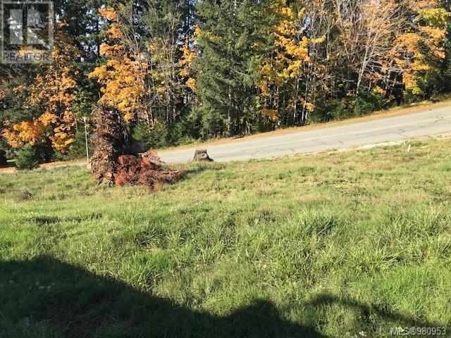 Lot 1 3580 Galiano Dr, Port Alberni real estate listing 980953