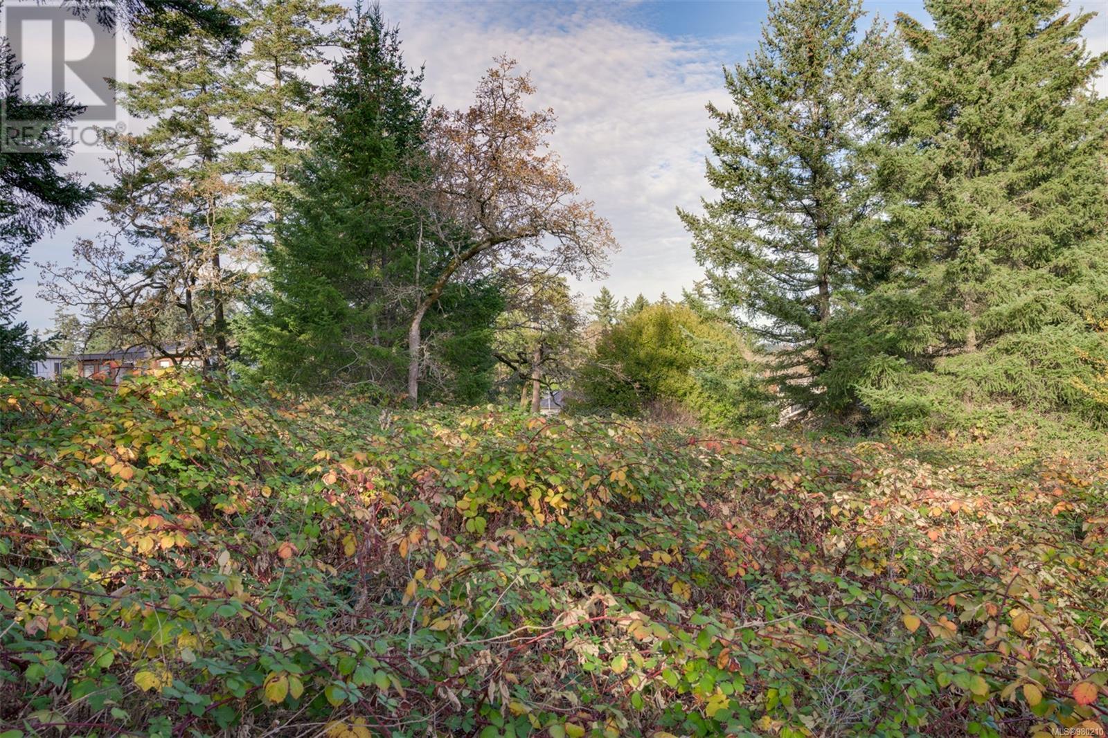 Photo 27 of 0 Helmcken Rd, Saanich BC