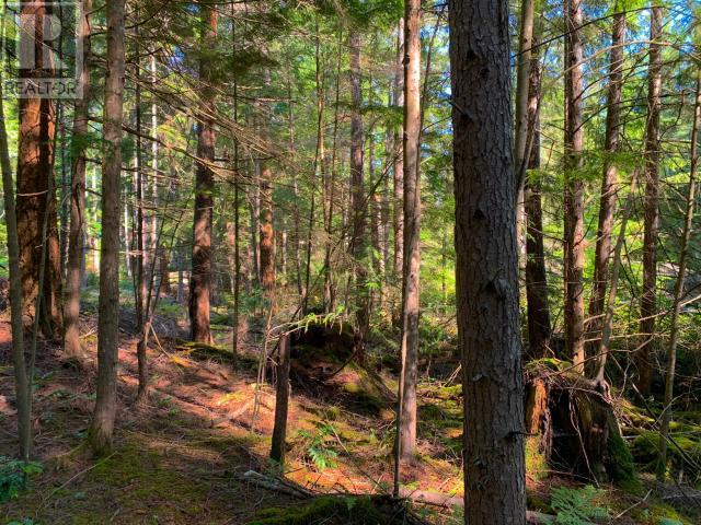 1855 VANCOUVER BLVD, Savary Island