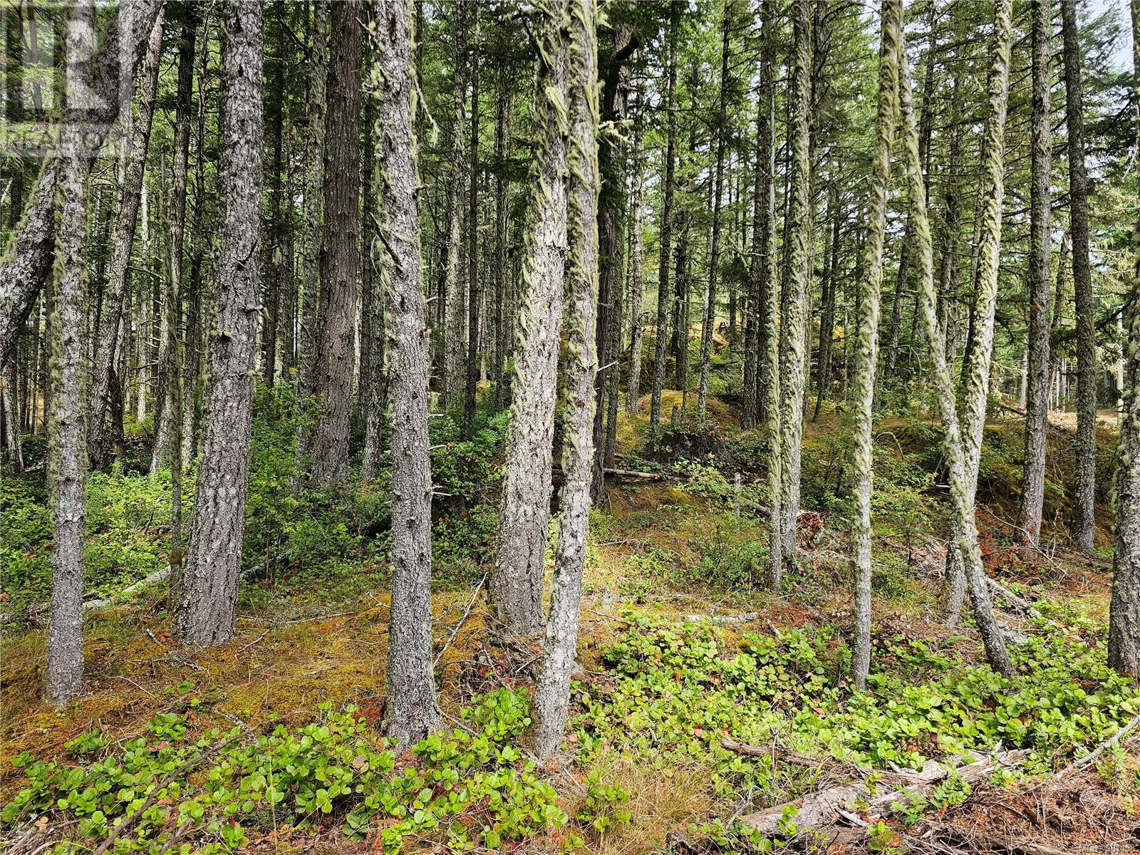 4940 Vinson Lane, Sooke