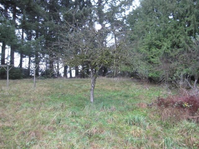 6135-6155 ROSS ROAD, Ryder Lake, Chilliwack real estate listing R2946290