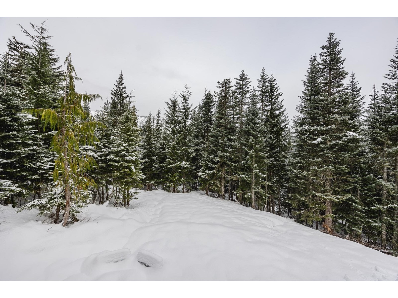 20788 EDELWEISS DRIVE, Mission real estate listing R2947088