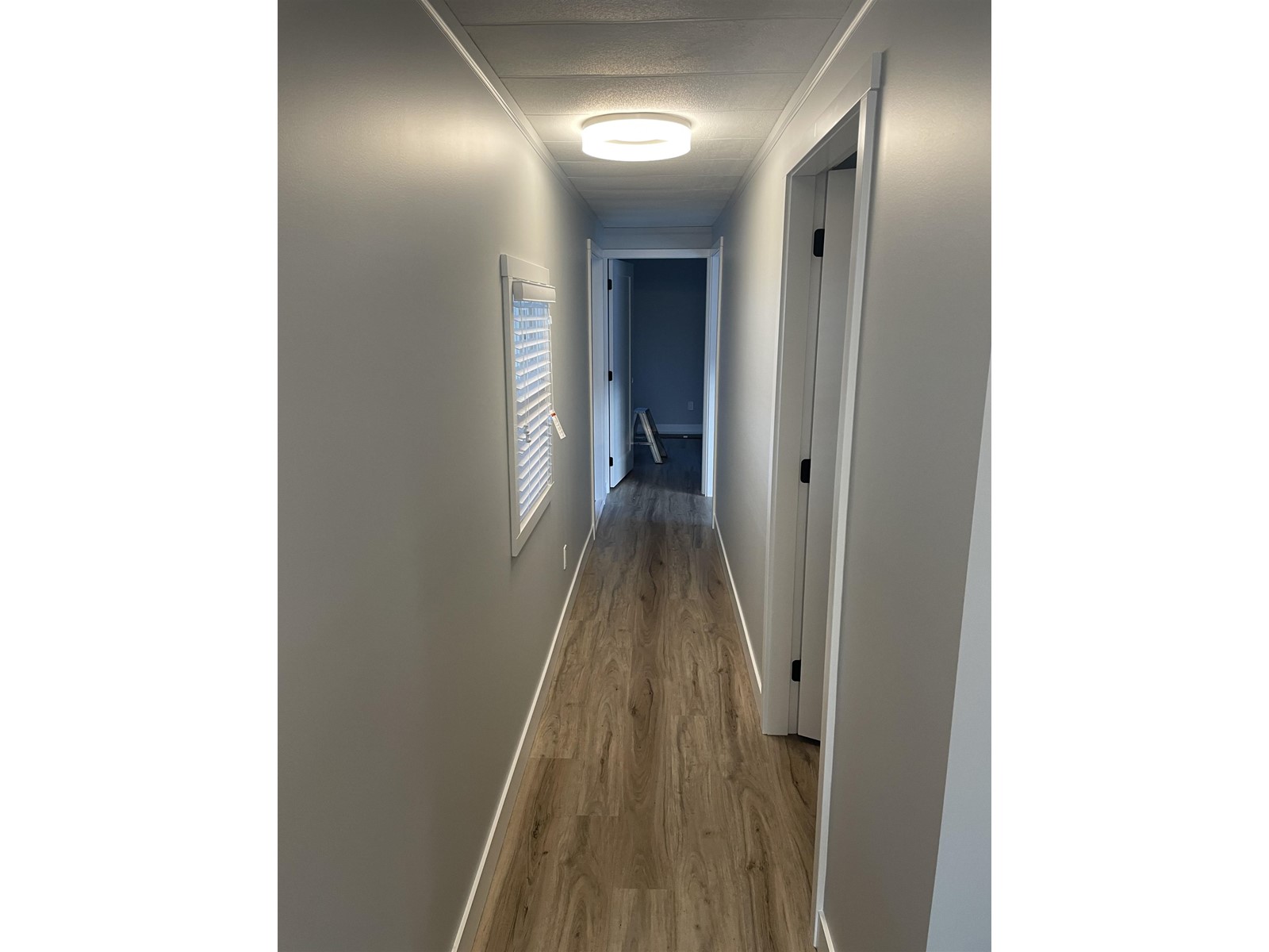4 4426 232 STREET, Langley real estate listing R2947391