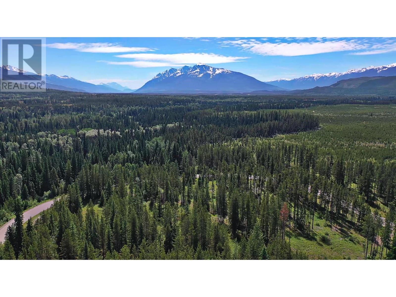 LOT 4 CROOKED CREEK ROAD, Valemount