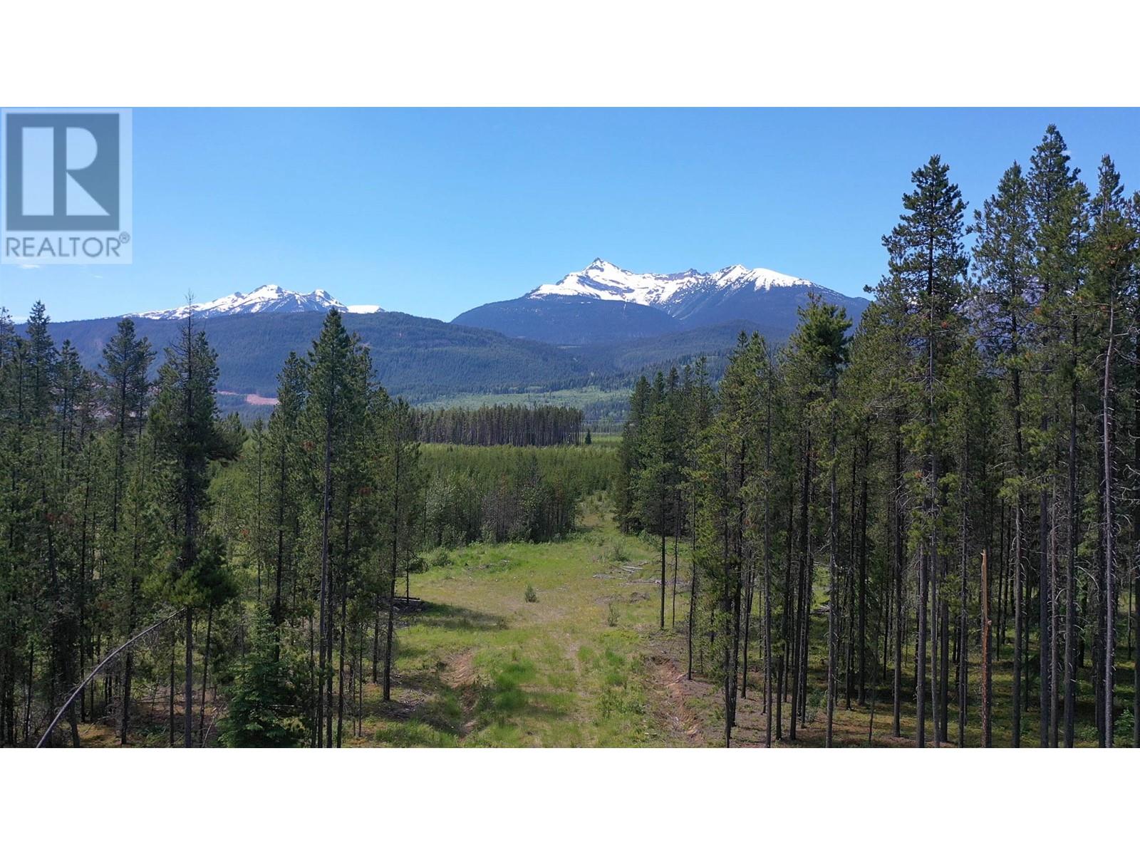DL 5702 CROOKED CREEK ROAD, Valemount
