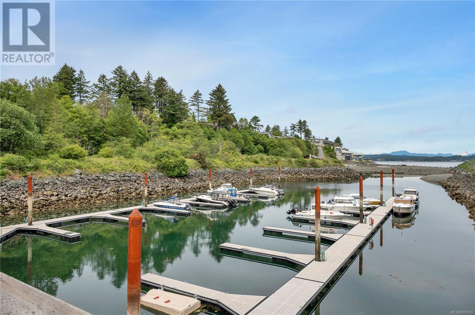 3207 27 Island Hwy S, Campbell River real estate listing 981538