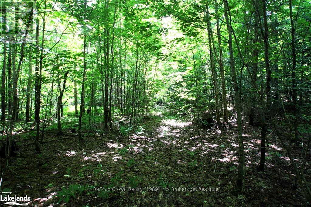 Photo 2 of 0 A 20th Side Rd, Parry Sound Remote Area ON