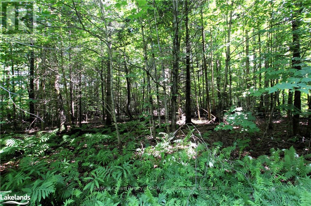 Photo 4 of 0 A 20th Side Rd, Parry Sound Remote Area ON